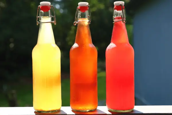 5 Receitas de Kombucha para Iniciantes da Fermentação ao Copo