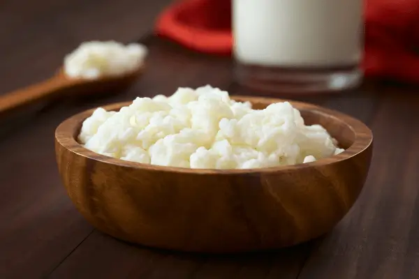 Kefir de Àgua ou de Leite Descubra Qual é Ideal para Suas Bebidas Fermentadas