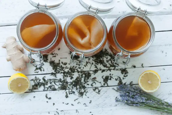 Ervas e Fermentação Transforme Chás em Bebidas Funcionais e Fermentadas