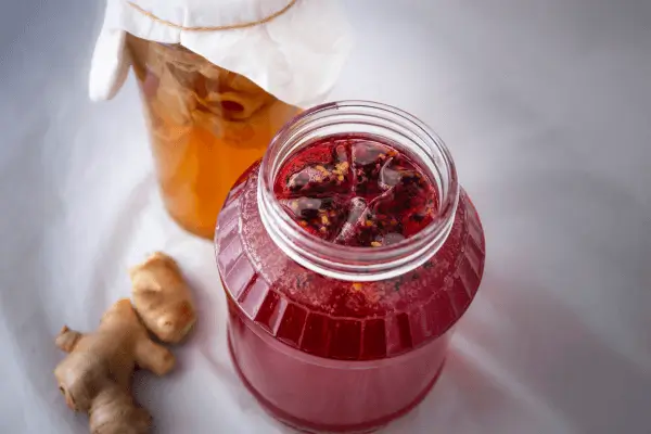 Fermentação com Hibisco Criando Bebidas Vibrantes e Cheias de Sabor