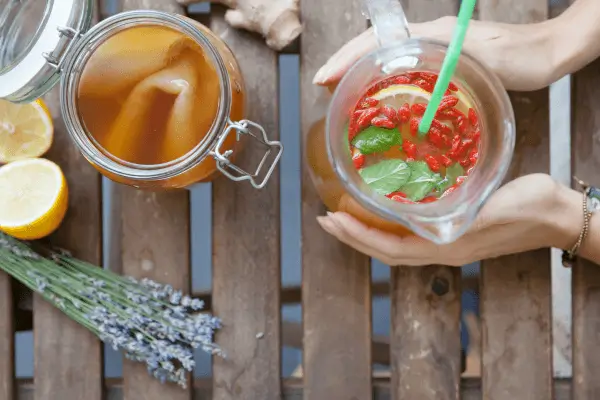 Receita de Kombucha com Infusões de Ervas e Especiarias Exóticas 