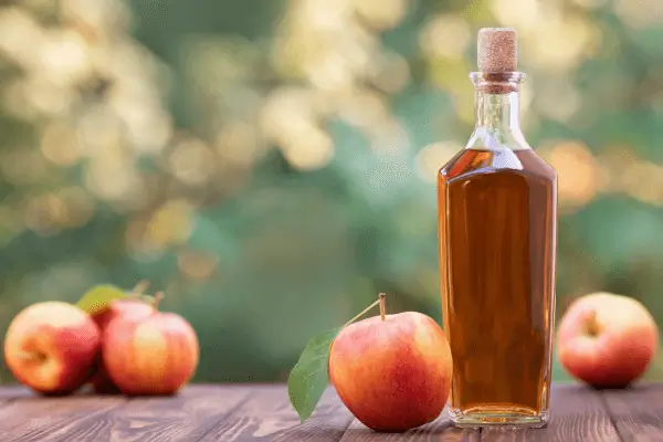 Fermentando Frutas: Como Fazer Vinagre Artesanal em Casa